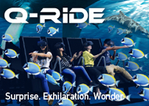 Q-RIDE