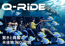 Q-RIDE